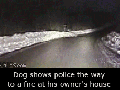 Dog saving a life
