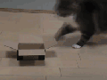 If I fits I..