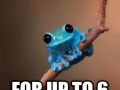 Tiny Fact Frog