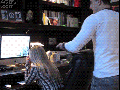 Haircut prank