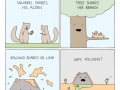 Why, volcano?