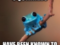 Small Fact Frog