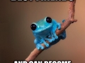 Small Fact Frog