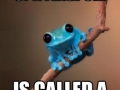 Tiny Fact Frog