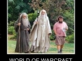 World of Warcraft