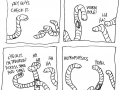 Worm hole