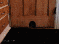 Who shrunk my door