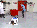 Japanese game shows