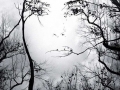 Mother Nature - found her