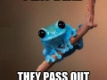 Small Fact Frog