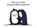 I love you a lottle