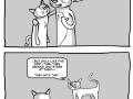 Cat Training