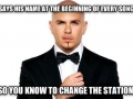 Good Guy Pitbull