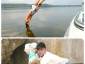 Perfectly timed photos