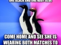 Perfect match penguins
