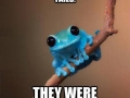 Small Fact Frog