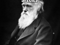 Insanity Darwin