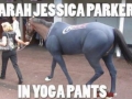 Yoga pants