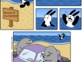 Beware of sharks