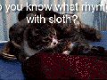 What rhymes with sloth?