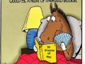 50 Shades of Hay