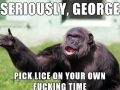 Angry supervisor monkey