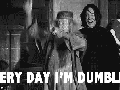 Everyday I'm Dumblin'