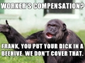 Angry Supervisor Monkey
