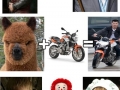 Celebrity equations