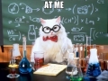 Chemistry Cat