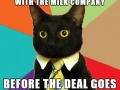 Business Cat