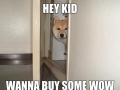 Hustler Doge