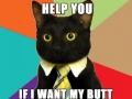 Business cat
