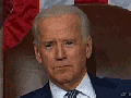 Biden Face