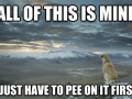 Contemplative Dog