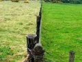 Grass is always greener..