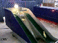 Ducklings having fun