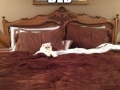 Honey, come to bed...
