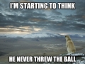 Contemplative Dog