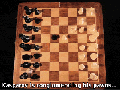 Garry Kasparov