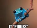 Small fact frog