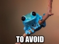 Small fact frog