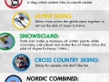 Winter Olympic events