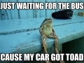 Pun toad