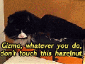 Don't touch the hazelnut