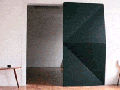 Evolution Door