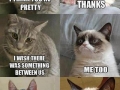 Grumpy cat at it again
