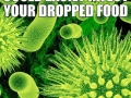 Good Guy Germs