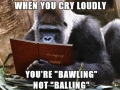 Grammar Gorilla