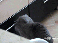 I just wanted to close it